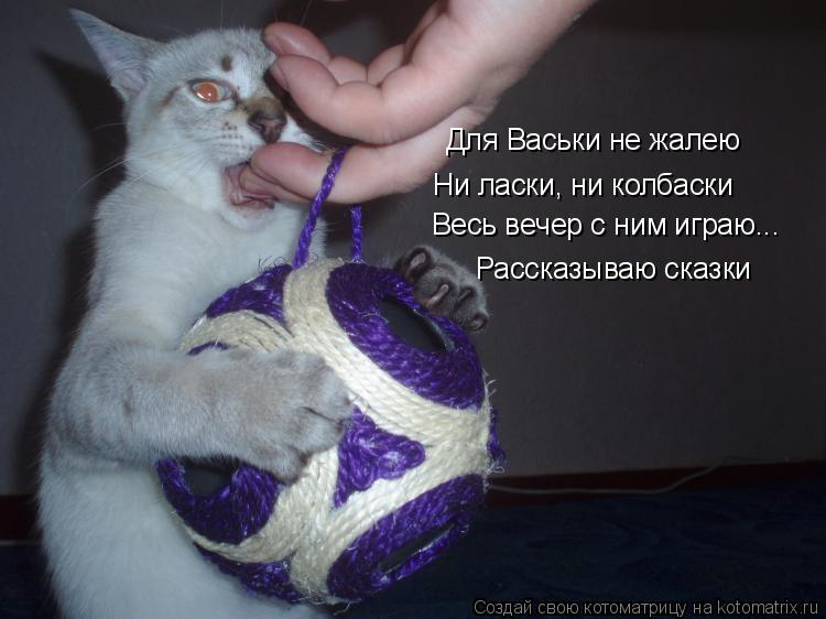 Для Васьки не жалею Ни ласки, ни колбаски Весь вечер с ним играю... Рассказываю сказки... Котоматрица: Для Васьки не жалею Ни ласки, ни колбаски Весь вечер с ним играю... Рассказываю сказки