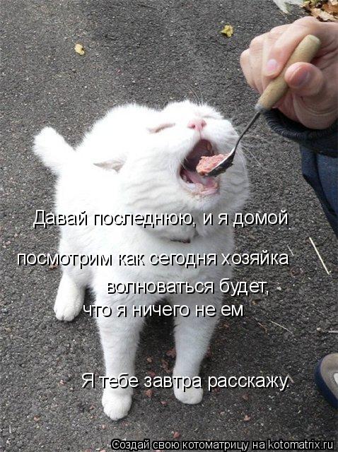 Давай последнюю, и я домой посмотрим как сегодня хозяйка волноваться будет, что я ничего не ем Я те... Котоматрица: Давай последнюю, и я домой посмотрим как сегодня хозяйка волноваться будет, что я ничего не ем Я тебе завтра расскажу.