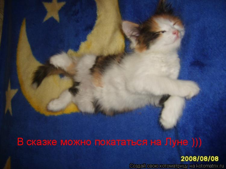 В сказке можно покататься на Луне )))... Котоматрица: В сказке можно покататься на Луне )))