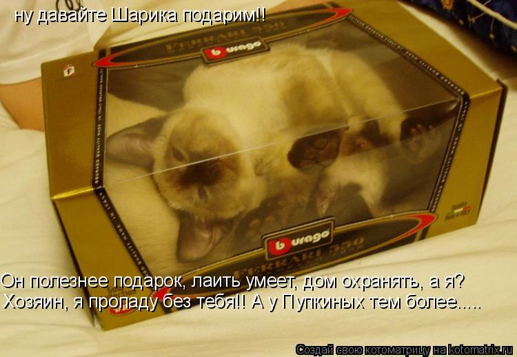 ну давайте Шарика подарим!! Он полезнее подарок, лаить умеет, дом охранять, а я? Хозяин, я пропаду бе... Котоматрица: ну давайте Шарика подарим!! Он полезнее подарок, лаить умеет, дом охранять, а я? Хозяин, я пропаду без тебя!! А у Пупкиных тем более.....