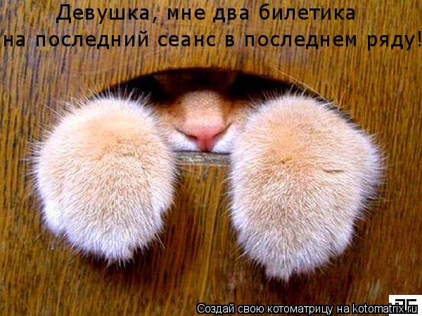 Девушка, мне два билетика на последний сеанс в последнем ряду!... Котоматрица: Девушка, мне два билетика на последний сеанс в последнем ряду!