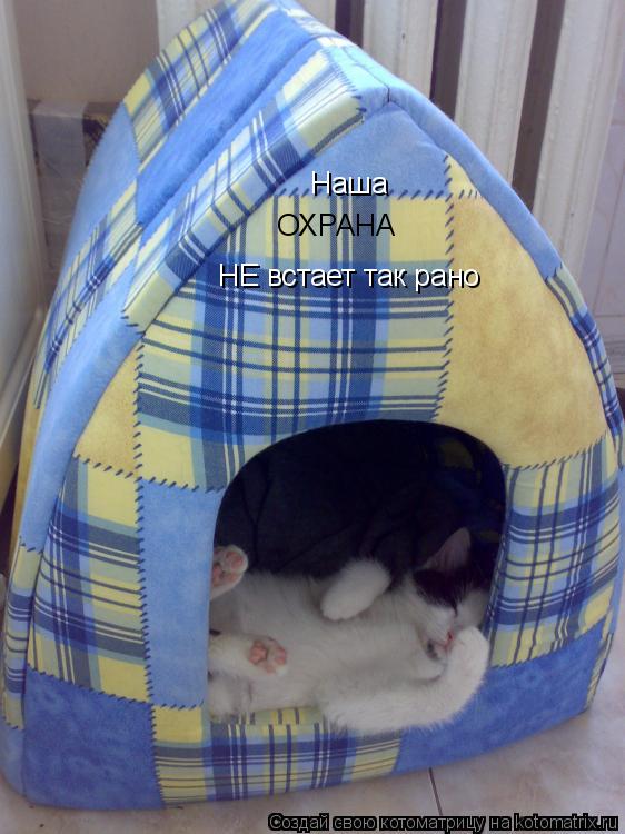 Наша ОХРАНА НЕ встает так рано... Котоматрица: Наша ОХРАНА НЕ встает так рано