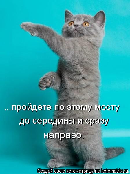 ...пройдете по этому мосту до середины и сразу направо.... Котоматрица: ...пройдете по этому мосту до середины и сразу направо.