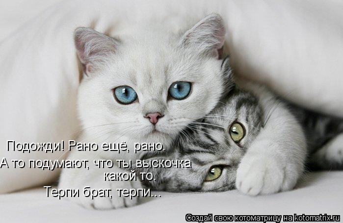 Подожди! Рано ещё, рано. А то подумают, что ты выскочка какой то. Терпи брат, терпи...... Котоматрица: Подожди! Рано ещё, рано. А то подумают, что ты выскочка какой то. Терпи брат, терпи...