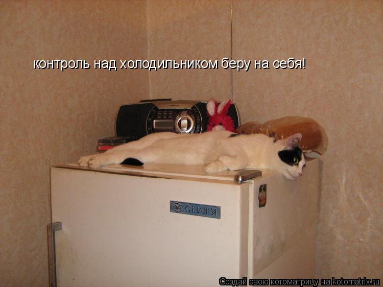 контроль над холодильником беру на себя!... Котоматрица: контроль над холодильником беру на себя!