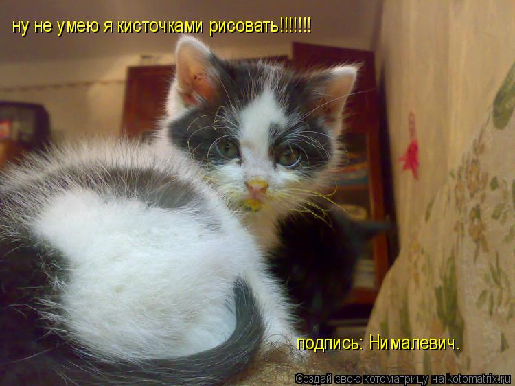 ну не умею я кисточками рисовать!!!!!!! подпись: Нималевич.... Котоматрица: ну не умею я кисточками рисовать!!!!!!! подпись: Нималевич.
