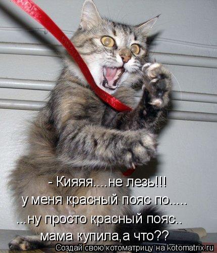 - Кияяя....не лезь!!! у меня красный пояс по..... ...ну просто красный пояс.. мама купила,а что??... Котоматрица: - Кияяя....не лезь!!! у меня красный пояс по..... ...ну просто красный пояс.. мама купила,а что??