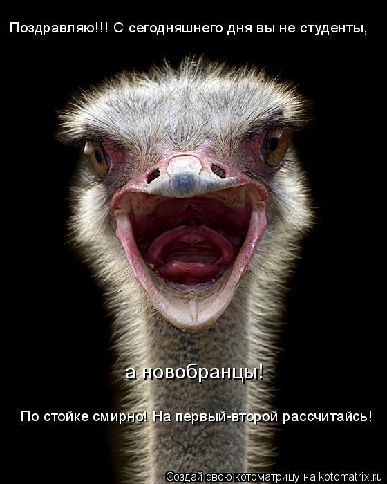 Поздравляю!!! С сегодняшнего дня вы не студенты, а новобранцы! По стойке смирно! На первый-второй ра... Котоматрица: Поздравляю!!! С сегодняшнего дня вы не студенты, а новобранцы! По стойке смирно! На первый-второй рассчитайсь!