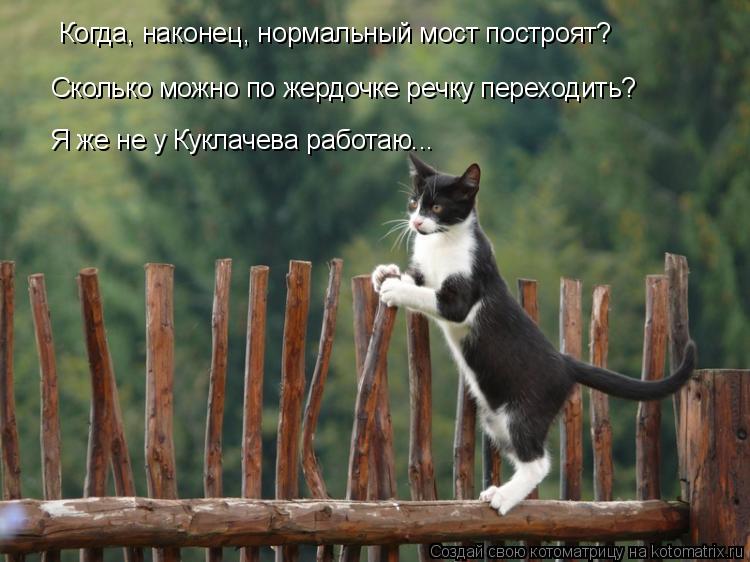 Когда, наконец, нормальный мост построят? Сколько можно по жердочке речку переходить? Я же не у Кукла... Котоматрица: Когда, наконец, нормальный мост построят? Сколько можно по жердочке речку переходить? Я же не у Куклачева работаю...