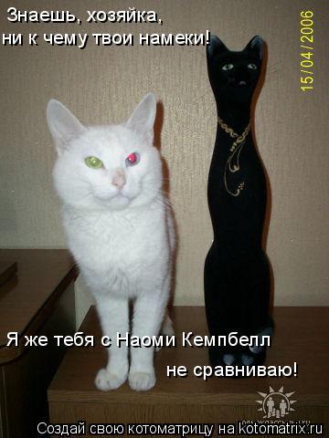 Знаешь, хозяйка, ни к чему твои намеки! Я же тебя с Наоми Кемпбелл не сравниваю!... Котоматрица: Знаешь, хозяйка, ни к чему твои намеки! Я же тебя с Наоми Кемпбелл не сравниваю!