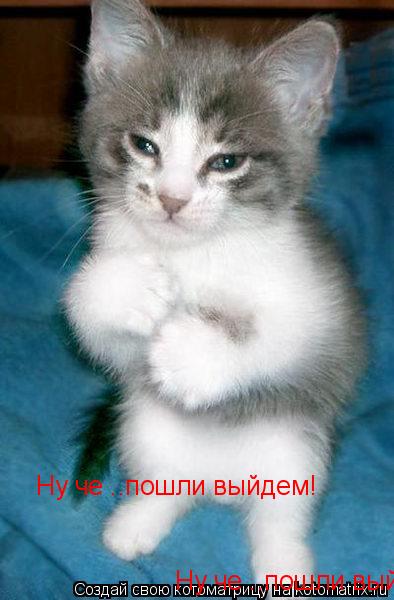 Ну че ..пошли выйдем! Ну че ..пошли выйдем!... Котоматрица: Ну че ..пошли выйдем! Ну че ..пошли выйдем!
