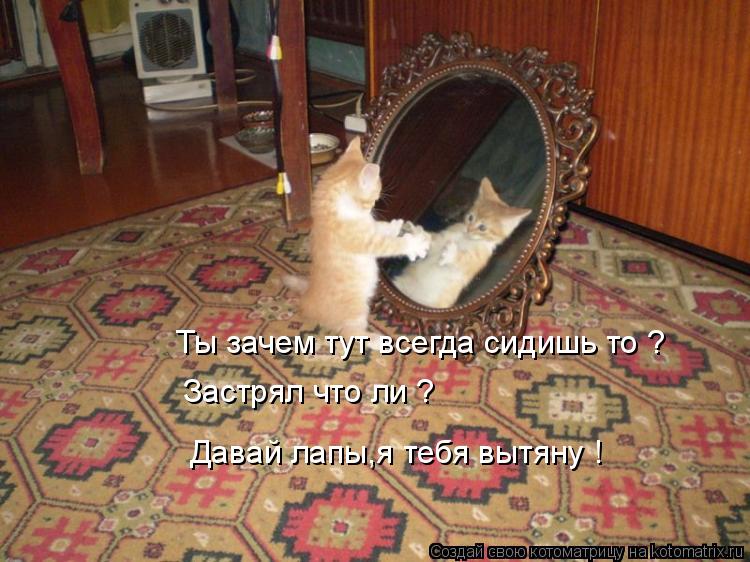 Ты зачем тут всегда сидишь то ? Застрял что ли ? Давай лапы,я тебя вытяну !... Котоматрица: Ты зачем тут всегда сидишь то ? Застрял что ли ? Давай лапы,я тебя вытяну !