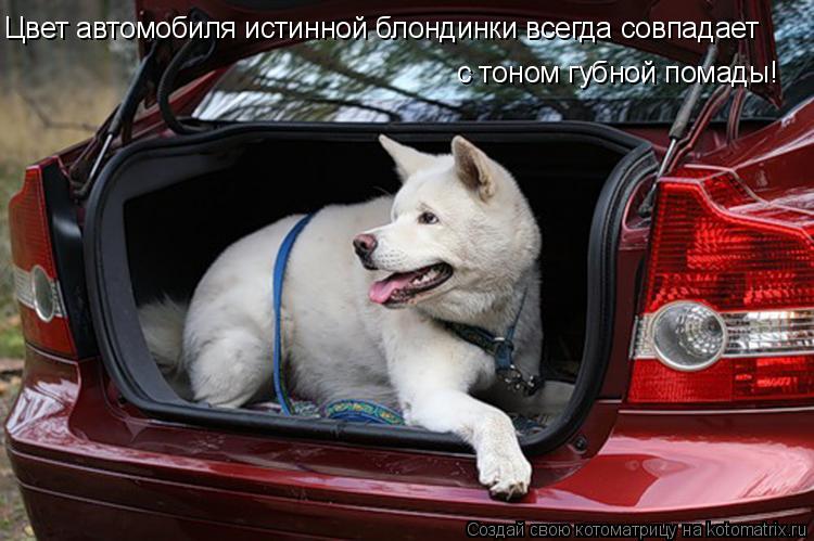 Цвет автомобиля истинной блондинки всегда совпадает с тоном губной помады!... Котоматрица: Цвет автомобиля истинной блондинки всегда совпадает с тоном губной помады!