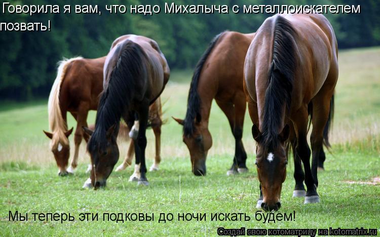 Говорила я вам, что надо Михалыча с металлоискателем позвать! Мы теперь эти подковы до ночи искать бу... Котоматрица: Говорила я вам, что надо Михалыча с металлоискателем позвать! Мы теперь эти подковы до ночи искать будем!