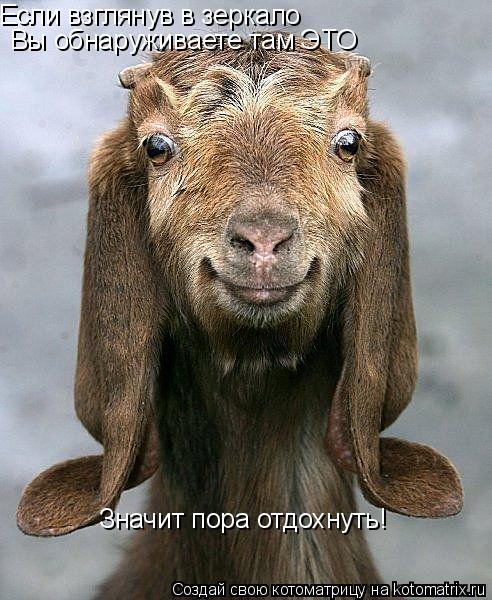Если взглянув в зеркало Вы обнаруживаете там ЭТО Значит пора отдохнуть!... Котоматрица: Если взглянув в зеркало Вы обнаруживаете там ЭТО Значит пора отдохнуть!