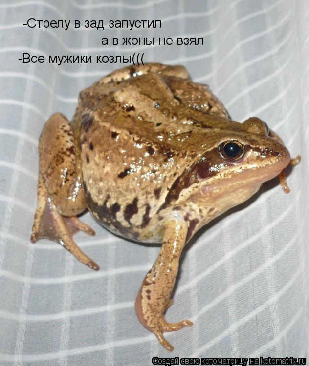 -Стрелу в зад запустил а в жоны не взял -Все мужики козлы(((... Котоматрица: -Стрелу в зад запустил а в жоны не взял -Все мужики козлы(((