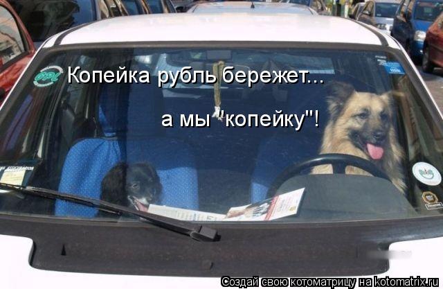 Копейка рубль бережет... а мы "копейку"!... Котоматрица: Копейка рубль бережет... а мы "копейку"!