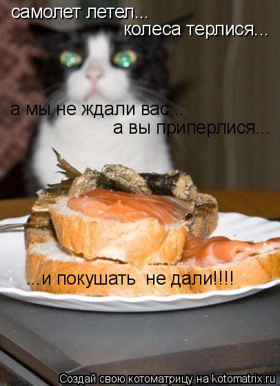 самолет летел... колеса терлися... а мы не ждали вас... а вы приперлися... ...и покушать не дали!!!!... Котоматрица: самолет летел... колеса терлися... а мы не ждали вас... а вы приперлися... ...и покушать не дали!!!!