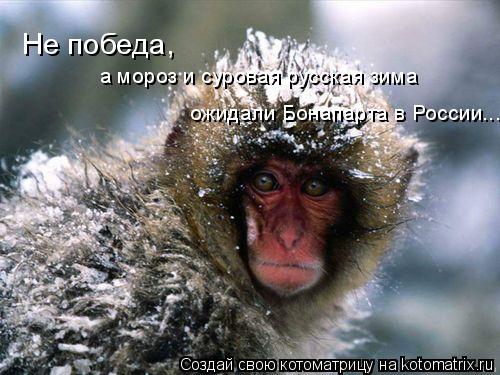 Не победа, а мороз и суровая русская зима ожидали Бонапарта в России...... Котоматрица: Не победа, а мороз и суровая русская зима ожидали Бонапарта в России...