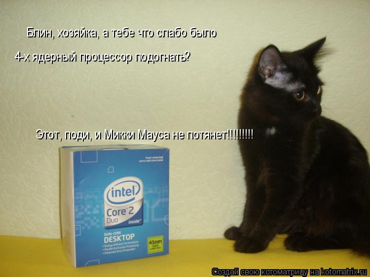Блин, хозяйка, а тебе что слабо было 4-х ядерный процессор подогнать ? Этот, поди, и Микки Мауса не ... Котоматрица: Блин, хозяйка, а тебе что слабо было 4-х ядерный процессор подогнать ? Этот, поди, и Микки Мауса не потянет!!!!!!!!!