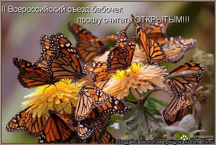 II Всероссийский съезд бабочек прошу считать ОТКРЫТЫМ!!!... Котоматрица: II Всероссийский съезд бабочек прошу считать ОТКРЫТЫМ!!!