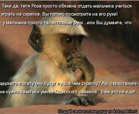 Таки да, тетя Роза просто обязана отдать мальчика учиться играть на скрипке. Вы только посмотрите на ... Котоматрица: Таки да, тетя Роза просто обязана отдать мальчика учиться играть на скрипке. Вы только посмотрите на его руки! - у мальчика просто талантлив