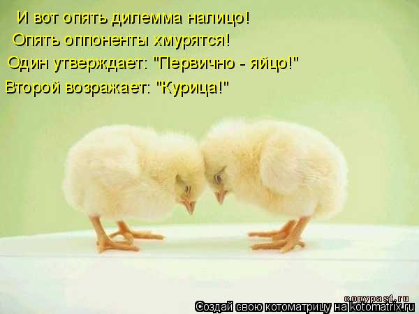 И вот опять дилемма налицо! Опять оппоненты хмурятся! Один утверждает: "Первично - яйцо!" Второй воз... Котоматрица: И вот опять дилемма налицо! Опять оппоненты хмурятся! Один утверждает: "Первично - яйцо!" Второй возражает: "Курица!"