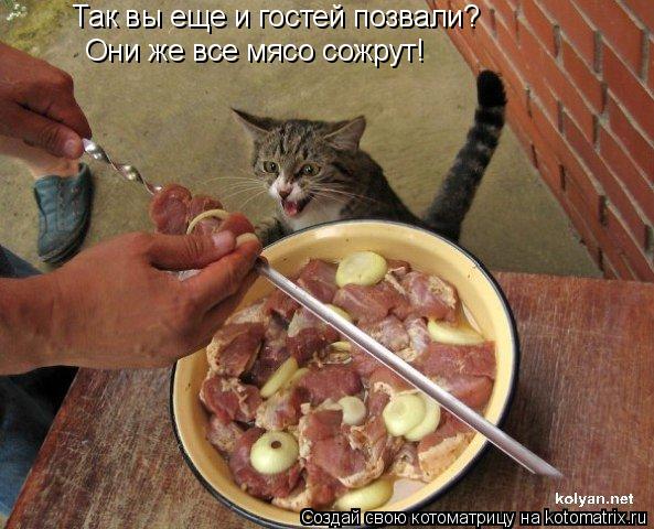 Так вы еще и гостей позвали? Они же все мясо сожрут!... Котоматрица: Так вы еще и гостей позвали? Они же все мясо сожрут!