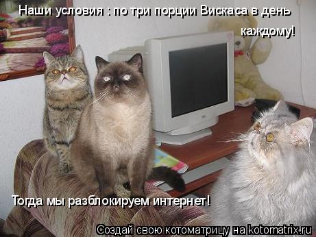 Наши условия : по три порции Вискаса в день каждому! Тогда мы разблокируем интернет!... Котоматрица: Наши условия : по три порции Вискаса в день каждому! Тогда мы разблокируем интернет!