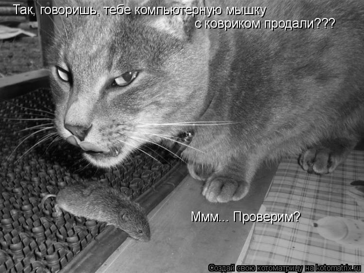 Так, говоришь, тебе компьютерную мышку с ковриком продали??? Ммм... Проверим?... Котоматрица: Так, говоришь, тебе компьютерную мышку с ковриком продали??? Ммм... Проверим?
