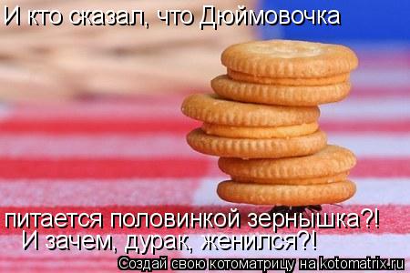 И кто сказал, что Дюймовочка питается половинкой зернышка?! И зачем, дурак, женился?!... Котоматрица: И кто сказал, что Дюймовочка питается половинкой зернышка?! И зачем, дурак, женился?!