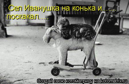 Сел Иванушка на конька и....... поскакал........ Котоматрица: Сел Иванушка на конька и....... поскакал.....