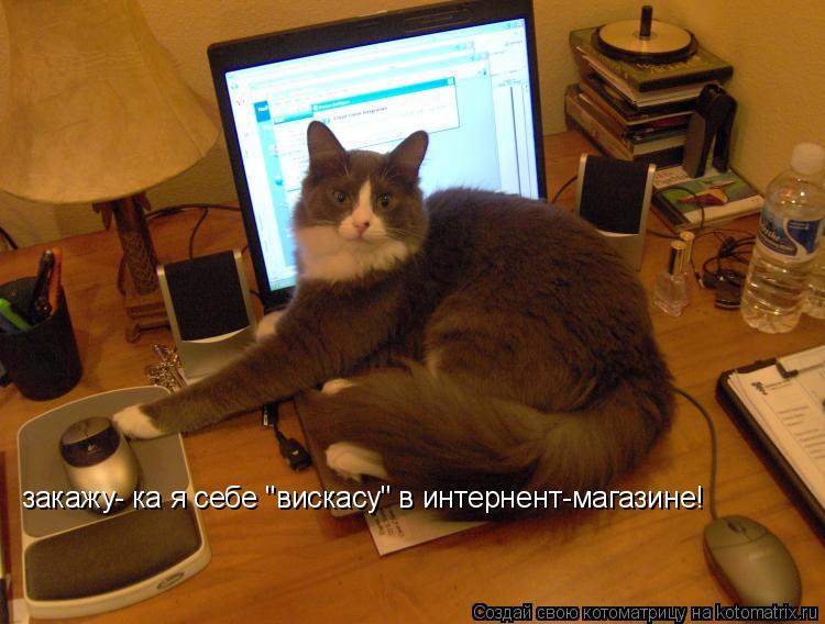 закажу- ка я себе "вискасу" в интернент-магазине!... Котоматрица: закажу- ка я себе "вискасу" в интернент-магазине!
