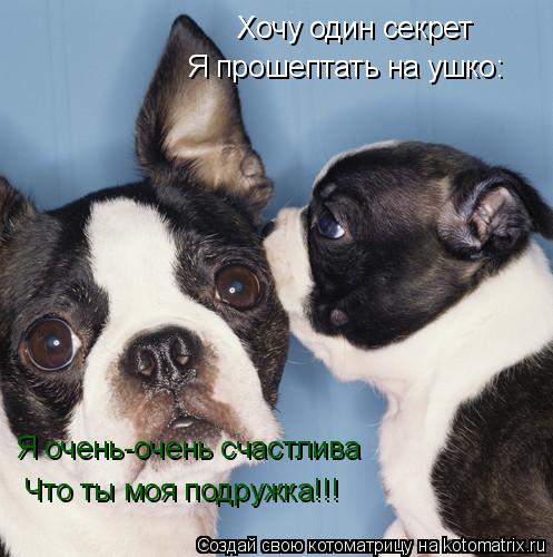 Хочу один секрет Я прошептать на ушко: Я очень-очень счастлива Что ты моя подружка!!!... Котоматрица: Хочу один секрет Я прошептать на ушко: Я очень-очень счастлива Что ты моя подружка!!!