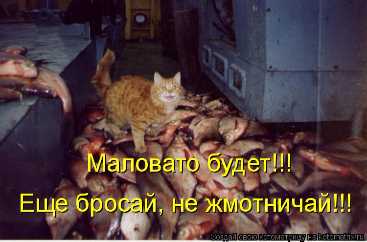 Маловато будет!!! Еще бросай, не жмотничай!!!... Котоматрица: Маловато будет!!! Еще бросай, не жмотничай!!!