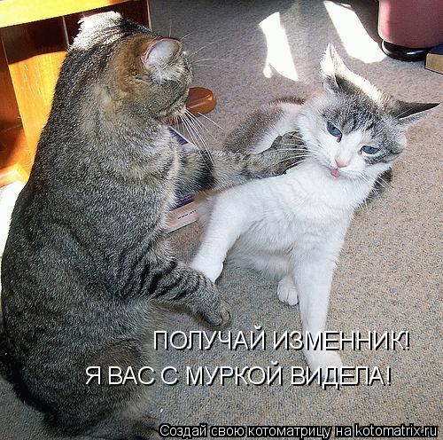 ПОЛУЧАЙ ИЗМЕННИК! Я ВАС С МУРКОЙ ВИДЕЛА!... Котоматрица: ПОЛУЧАЙ ИЗМЕННИК! Я ВАС С МУРКОЙ ВИДЕЛА!