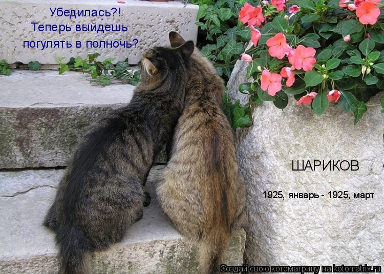 ШАРИКОВ 1925, январь - 1925, март Убедилась?! Теперь выйдешь погулять в полночь?... Котоматрица: ШАРИКОВ 1925, январь - 1925, март Убедилась?! Теперь выйдешь погулять в полночь?