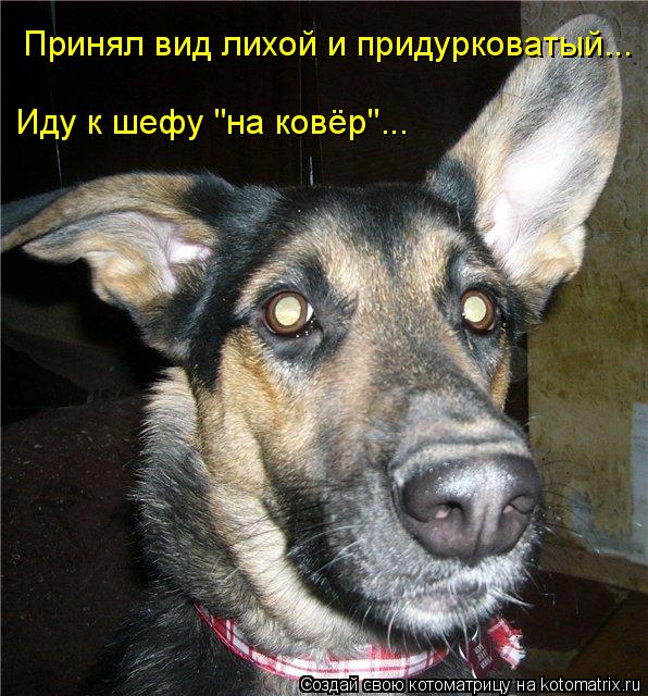Поздравление с днем рождения женщины с юмором Поздравление с днем рождения женщины с юмором