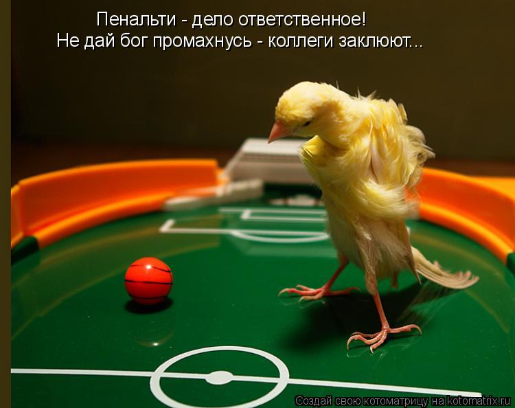 Пенальти - дело ответственное! Не дай бог промахнусь - коллеги заклюют...... Котоматрица: Пенальти - дело ответственное! Не дай бог промахнусь - коллеги заклюют...