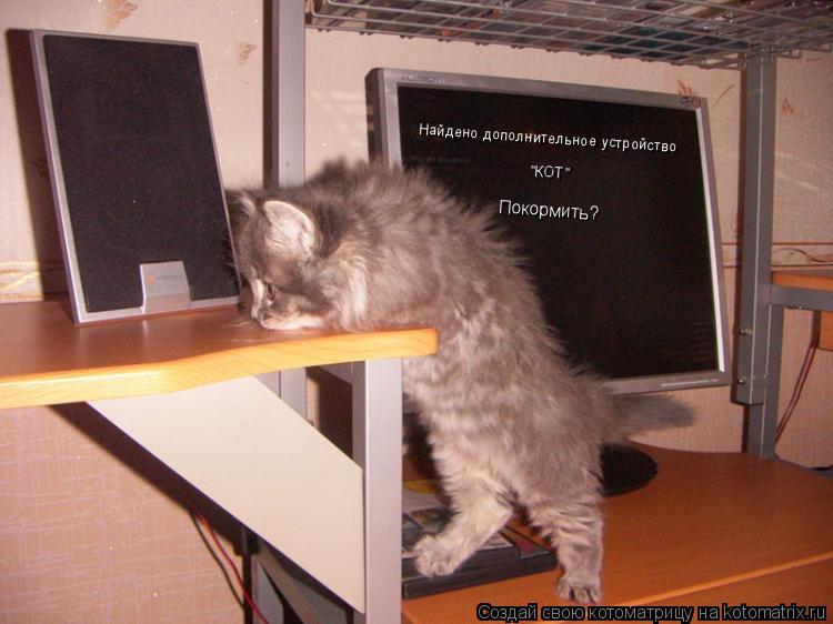 Найдено дополнительное устройство "КОТ" Покормить?... Котоматрица: Найдено дополнительное устройство "КОТ" Покормить?