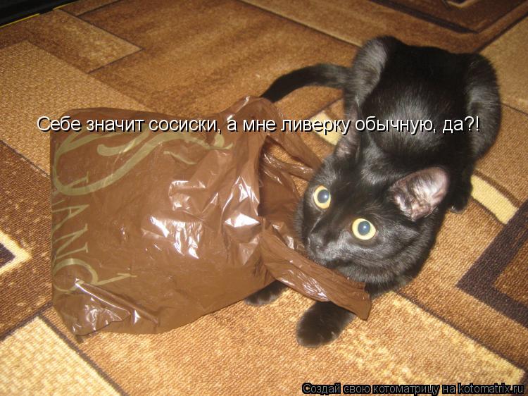 Себе значит сосиски, а мне ливерку обычную, да?!... Котоматрица: Себе значит сосиски, а мне ливерку обычную, да?!