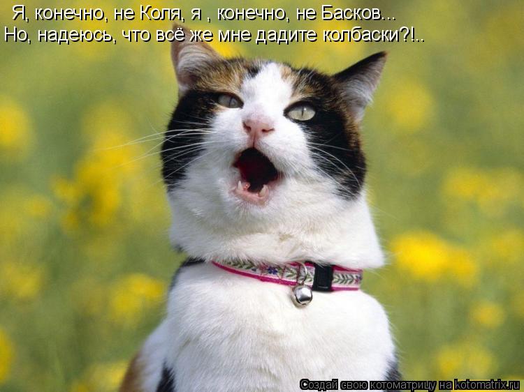 Я, конечно, не Коля, я , конечно, не Басков... Но, надеюсь, что всё же мне дадите колбаски?!..... Котоматрица: Я, конечно, не Коля, я , конечно, не Басков... Но, надеюсь, что всё же мне дадите колбаски?!..