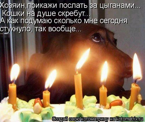 Котоматрица: Хозяин,прикажи послать за цыганами... Кошки на душе скребут... А как подумаю сколько мне сегодня стукнуло, так вообще...