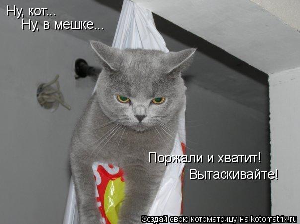 Ну, кот... Ну, в мешке... Поржали и хватит! Вытаскивайте!... Котоматрица: Ну, кот... Ну, в мешке... Поржали и хватит! Вытаскивайте!