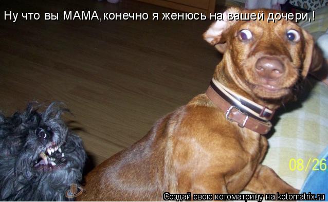 Ну что вы МАМА,конечно я женюсь на вашей дочери,!... Котоматрица: Ну что вы МАМА,конечно я женюсь на вашей дочери,!