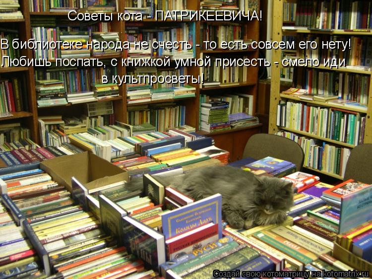 Котоматрица: В библиотеке народа не счесть - то есть совсем его нету! Любишь поспать, с книжкой умной присесть - смело иди  в культпросветы!  Советы кота - П