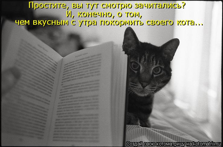 Простите, вы тут смотрю зачитались? И, конечно, о том, чем вкусным с утра покормить своего кота...... Котоматрица: Простите, вы тут смотрю зачитались? И, конечно, о том, чем вкусным с утра покормить своего кота...