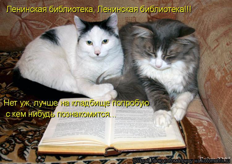 Ленинская библиотека, Ленинская библиотека!!! Нет уж, лучше на кладбище попробую с кем нибудь познако... Котоматрица: Ленинская библиотека, Ленинская библиотека!!! Нет уж, лучше на кладбище попробую с кем нибудь познакомится...