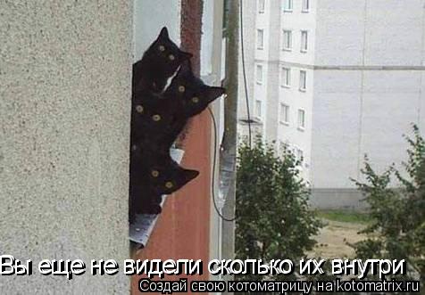 Вы еще не видели сколько их внутри Вы еще не видели сколько их внутри... Котоматрица: Вы еще не видели сколько их внутри Вы еще не видели сколько их внутри