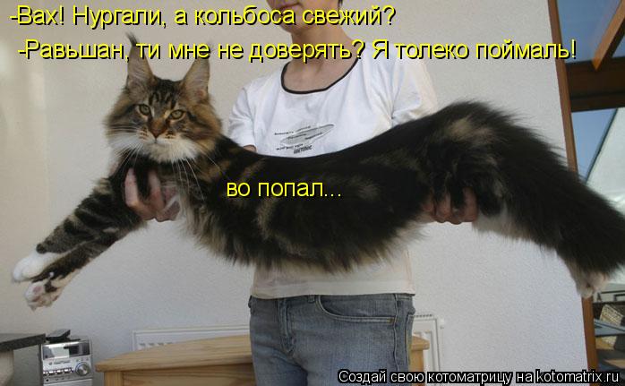 -Равьшан, ти мне не доверять? Я толеко поймаль! -Вах! Нургали, а кольбоса свежий? во попал...... Котоматрица: -Равьшан, ти мне не доверять? Я толеко поймаль! -Вах! Нургали, а кольбоса свежий? во попал...